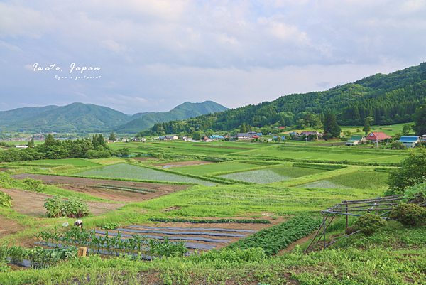 遠野市旅遊.png