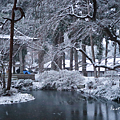 岩手景點 毛越寺.png