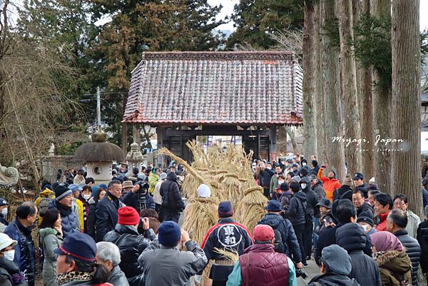 宮城東北冬日祭典.png