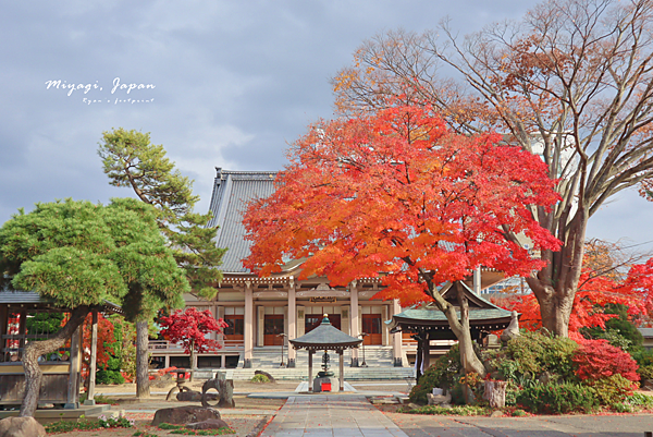 仙台市景點 孝勝寺.png