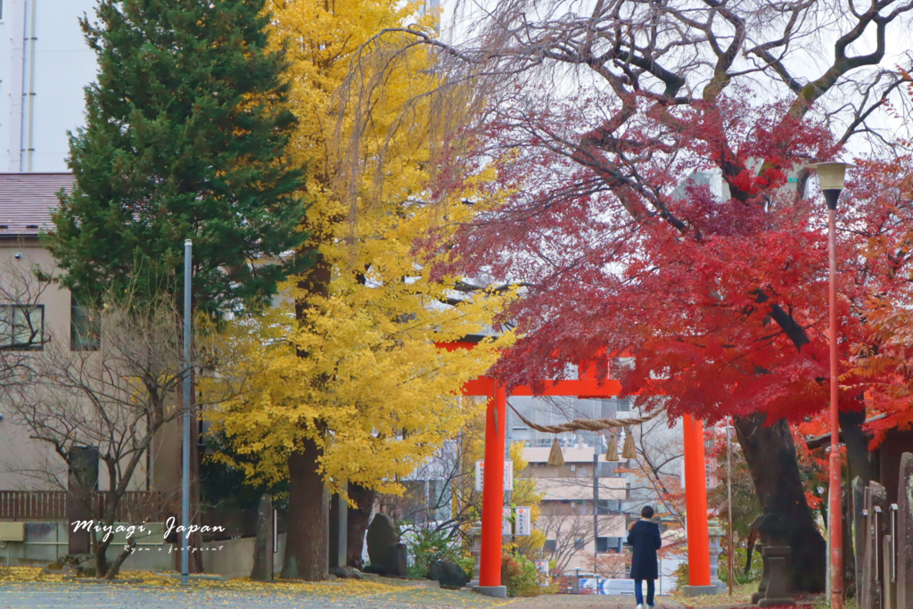 仙台市景點 榴岡天滿宮.png