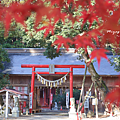 仙台景點 賀茂神社.png