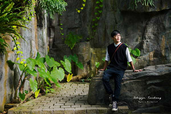 台中景點 科博館植物園.png