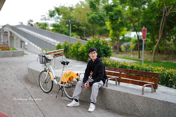 綠空廊道 田心路圓環東路.png