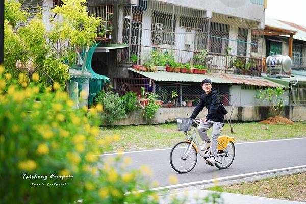 綠空廊道-三光北一街.jpg