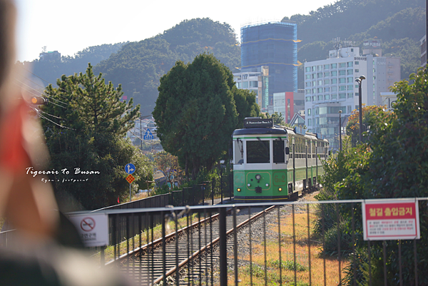 釜山海濱列車預約.png