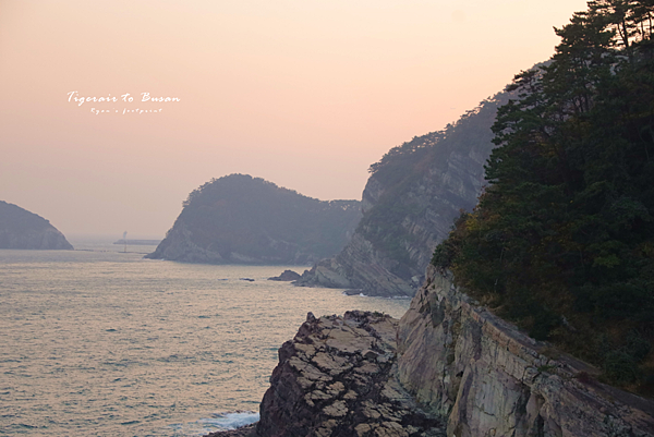 松島龍宮雲橋 簡介.png