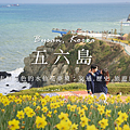 五六島.png