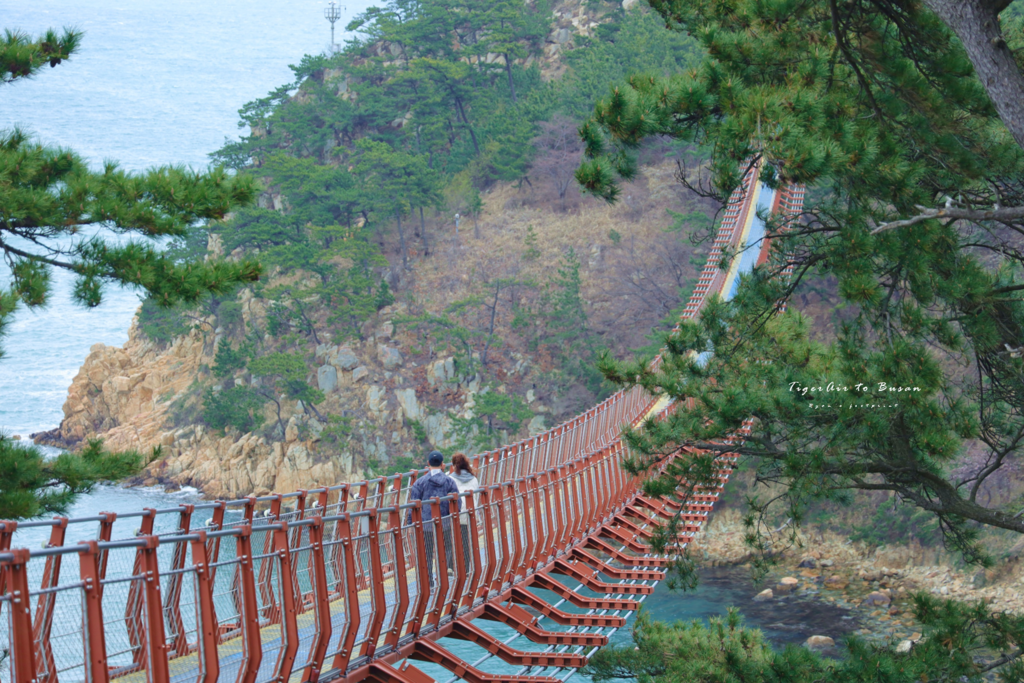 大王岩吊橋公園 介紹.png