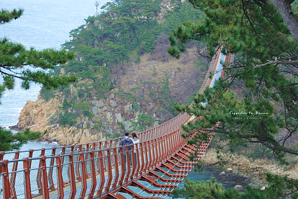 大王岩吊橋公園 介紹.png