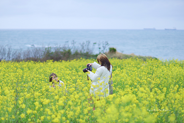 蔚山景點 瑟島.png