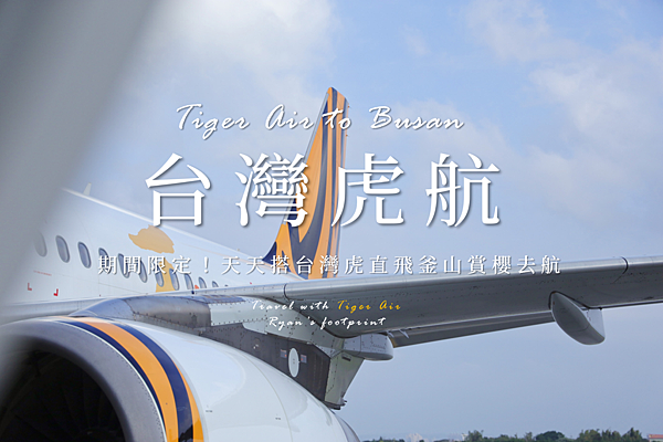 台灣虎航.png