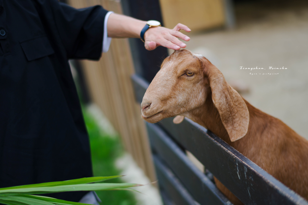 廢物媽媽育兒農場 動物.png