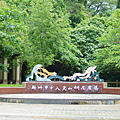 新竹 十八尖山桐花廣場.png