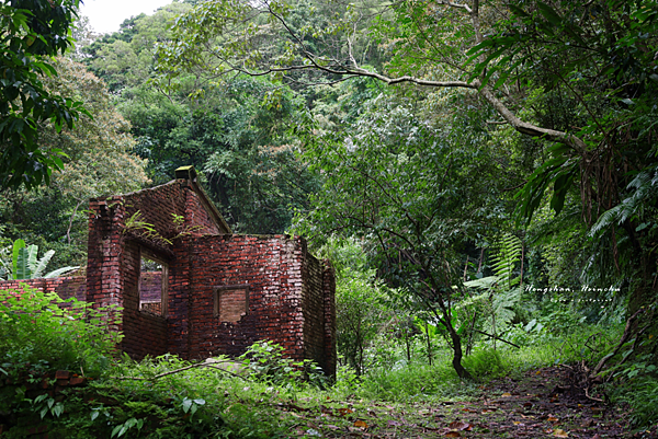 建豐煤礦坑遺址.png