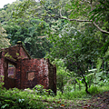 建豐煤礦坑遺址.png