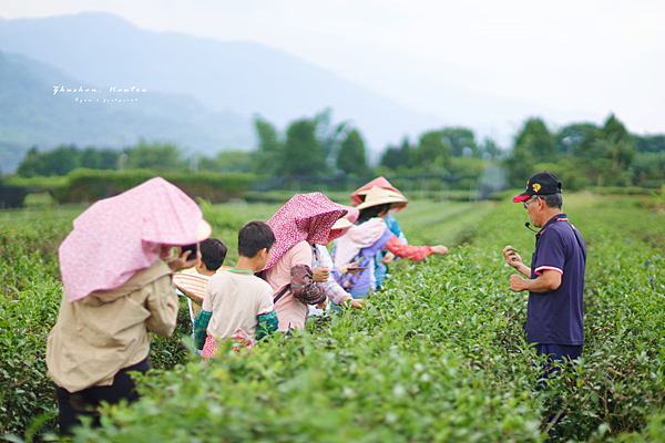 2024竹山國際茶道節 行程.png