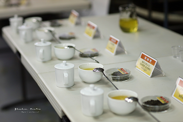 茶韻風情小旅行 品茶.png