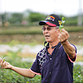 茶韻風情小旅行 採茶體驗.png