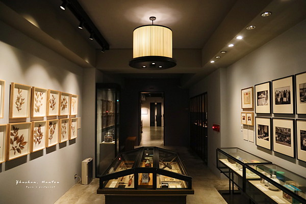 茶韻風情小旅行 遊山茶訪茶葉文化館.png