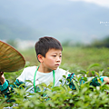 茶韻風情小旅行.png