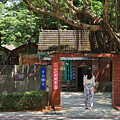桃園旅遊.png