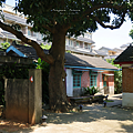馬祖新村眷村文創園區 歷史.png