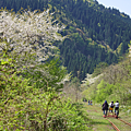 大館・小坂鐵路自行車價格.png