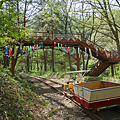 大館・小坂鐵路自行車.png