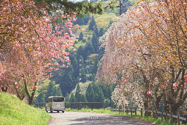 秋田一日遊路線.png