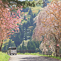 秋田一日遊路線.png