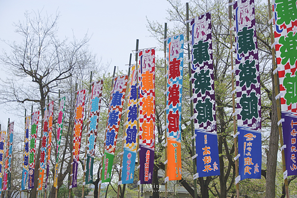 秋田不自駕 一日遊.png