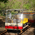 秋田景點 大館・小坂鐵路自行車.png
