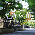 台灣虎航.png