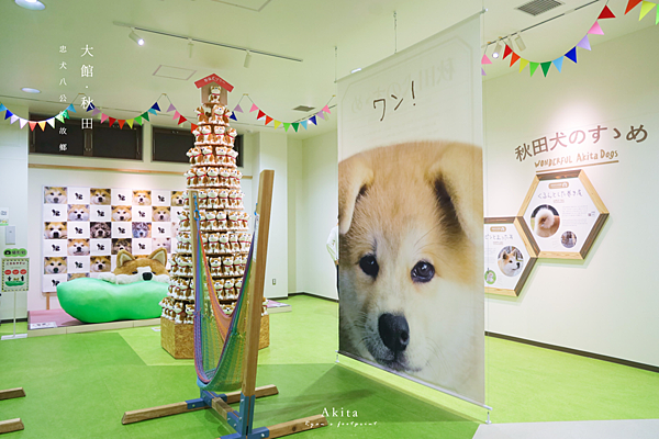 大館景點 秋田犬之里.png