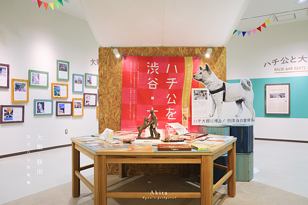 日本秋田犬 推薦.png