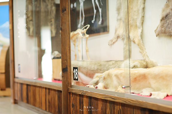 秋田景點 秋田犬會館.png