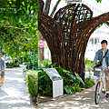 台中新景點 育德園道.png