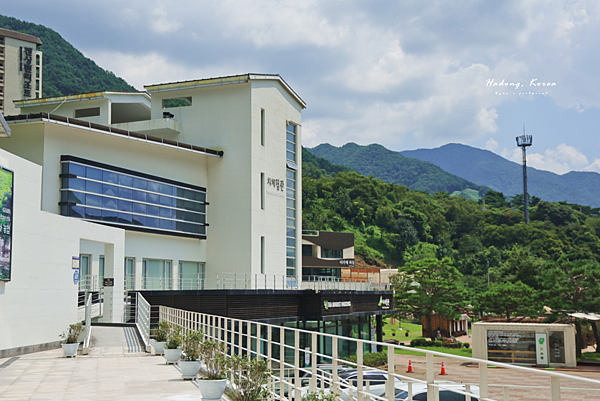 河東景點 野生茶博物館.png