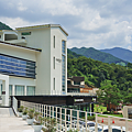 河東景點 野生茶博物館.png