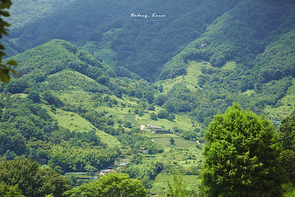 韓國河東.png