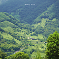 韓國河東.png