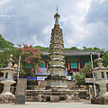 雙蹊寺 十里櫻花路.png