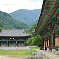 表忠寺 歷史.png