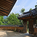 位良池 蘇流樹.png