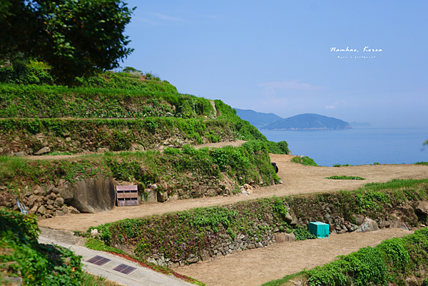 加川梯田村.png