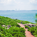 基隆嶼景點 濱海步道.png