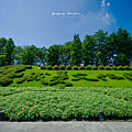 成美文化園 幸福花園觀景台.png