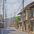岡山森之藝術祭 展區.png