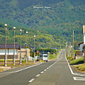 岡山森之藝術祭 展期.png